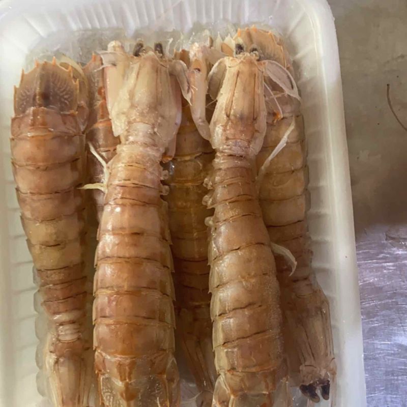 皮皮虾