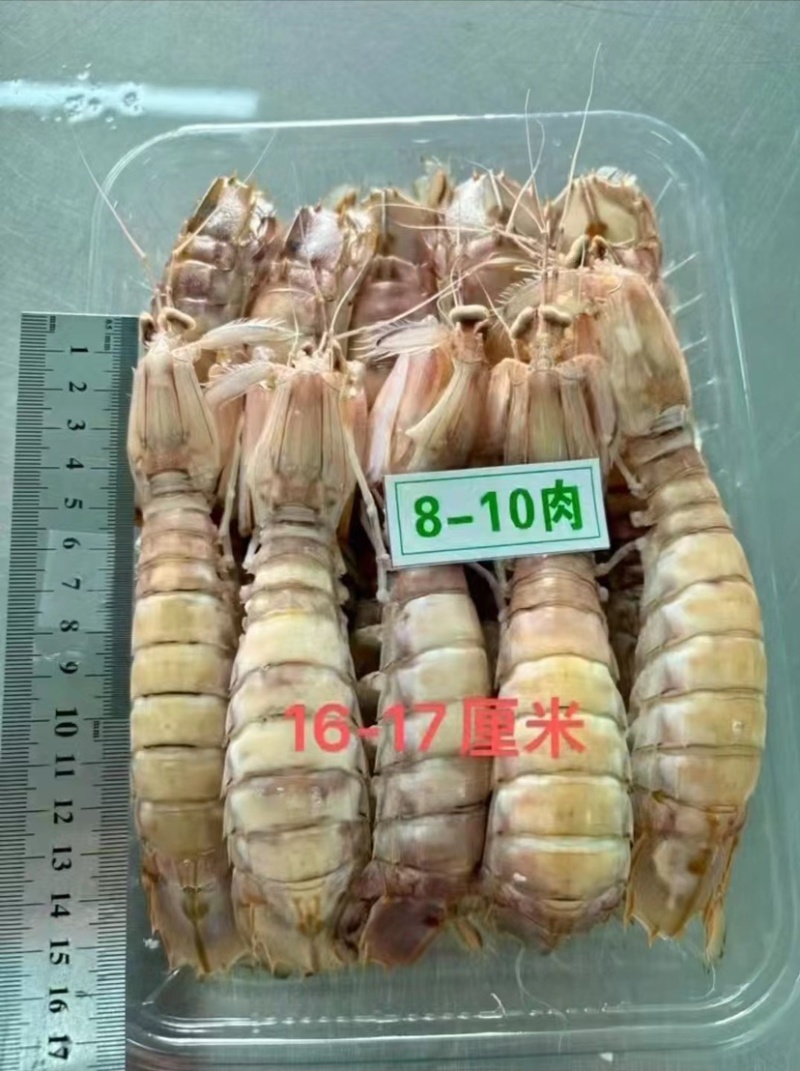 皮皮虾