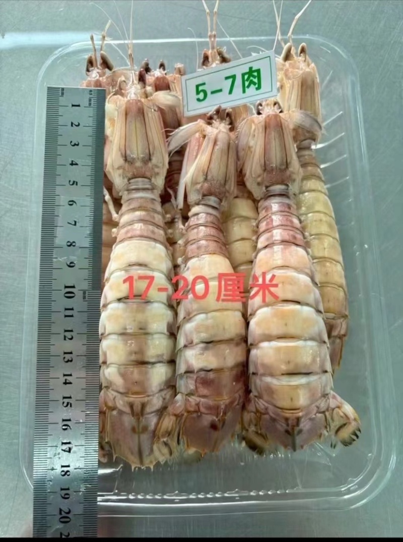 皮皮虾