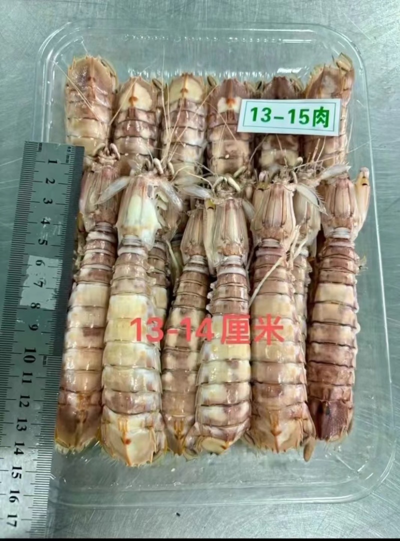皮皮虾