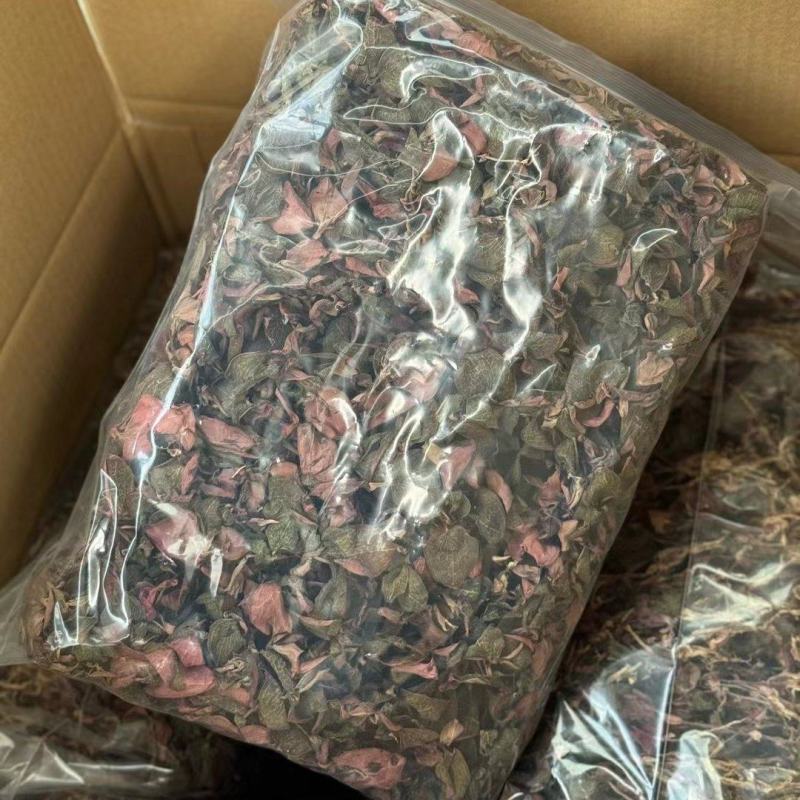 台湾红霞金线莲货源充足量大从优质量保证