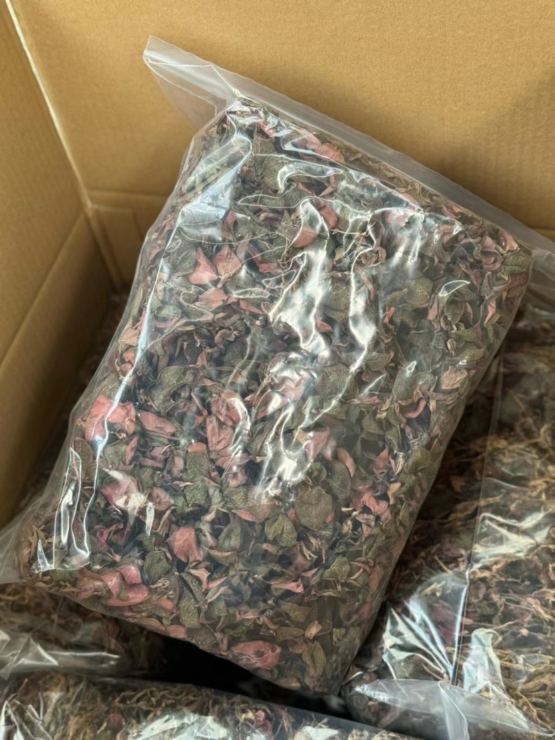 台湾红霞金线莲货源充足量大从优质量保证