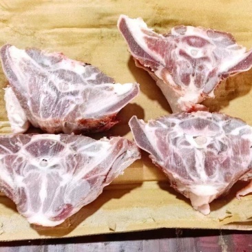 蝴蝶骨