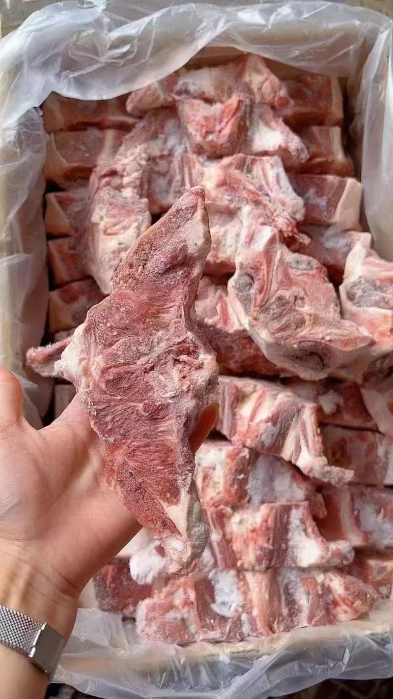 蝴蝶骨