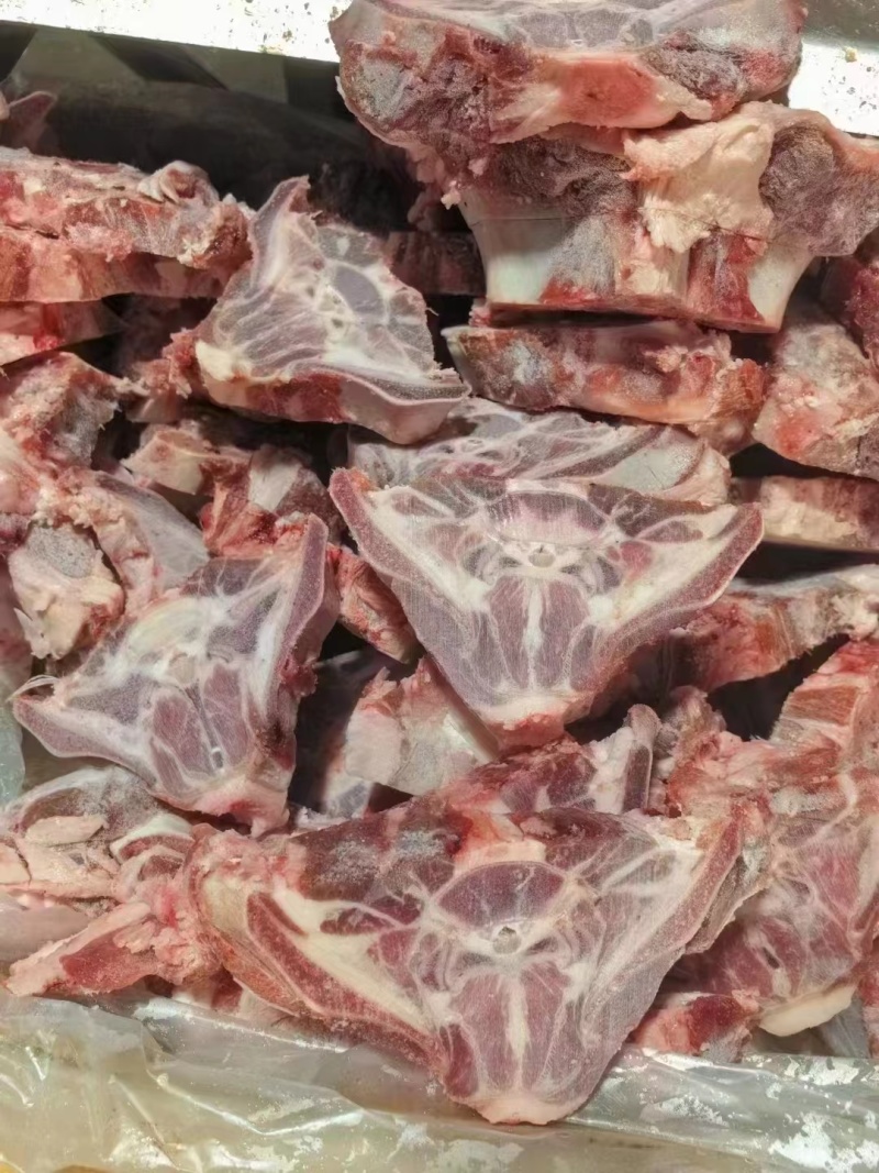 蝴蝶骨