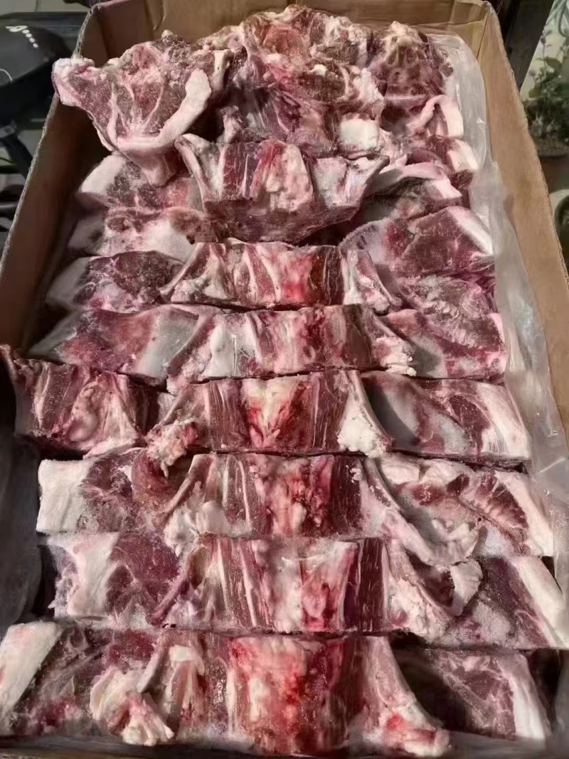 蝴蝶骨