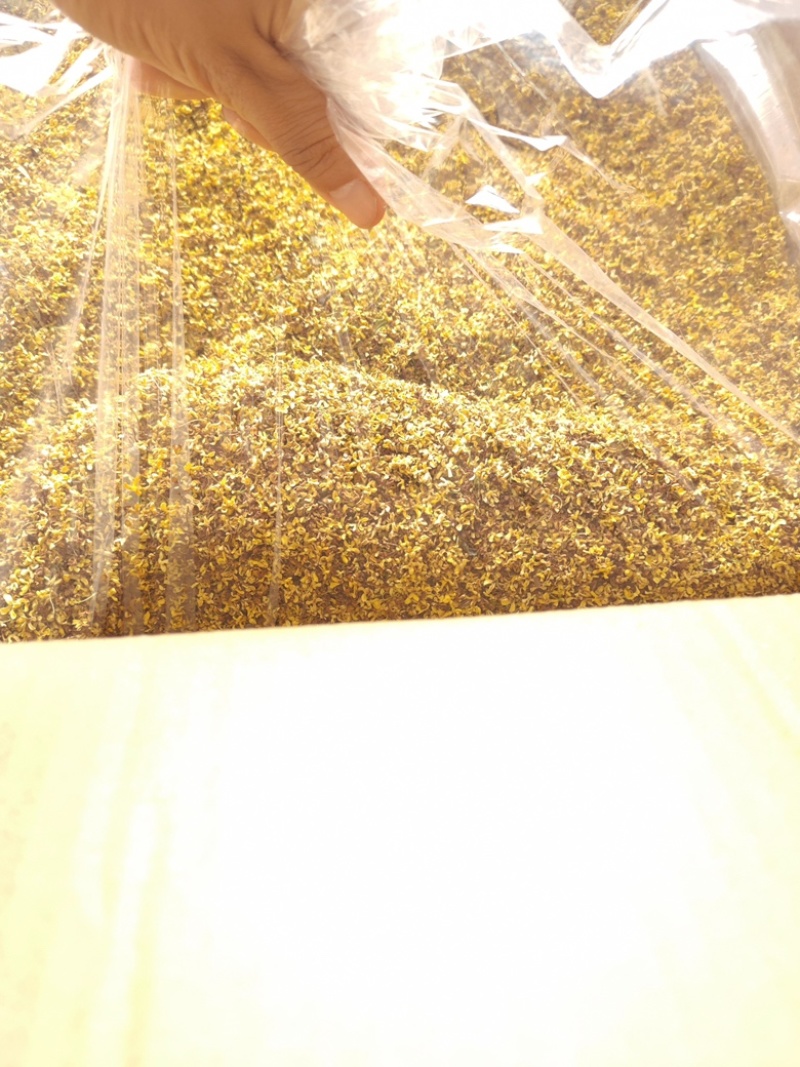 推荐桂花干，丹桂，新货上市