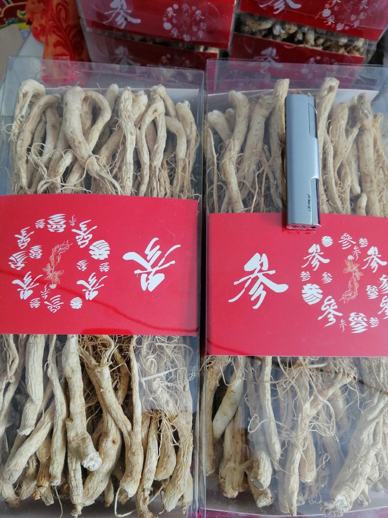 人参须人参白直须