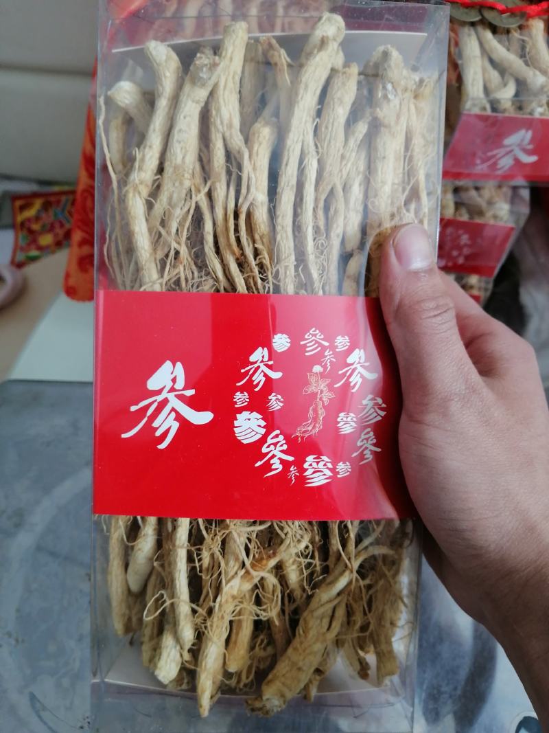 人参须人参白直须