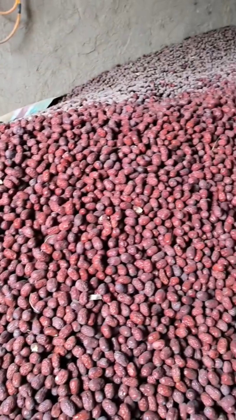 敦煌特产马牙枣特级红干枣核小肉厚细嫩甘甜煮粥泡水零食佳品
