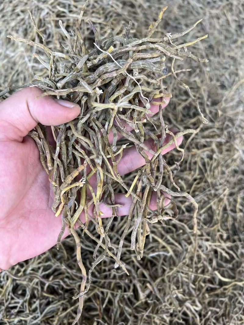 铁皮石斛霍山铁皮云南铁皮石斛枫斗石斛花茶粉中药材礼盒