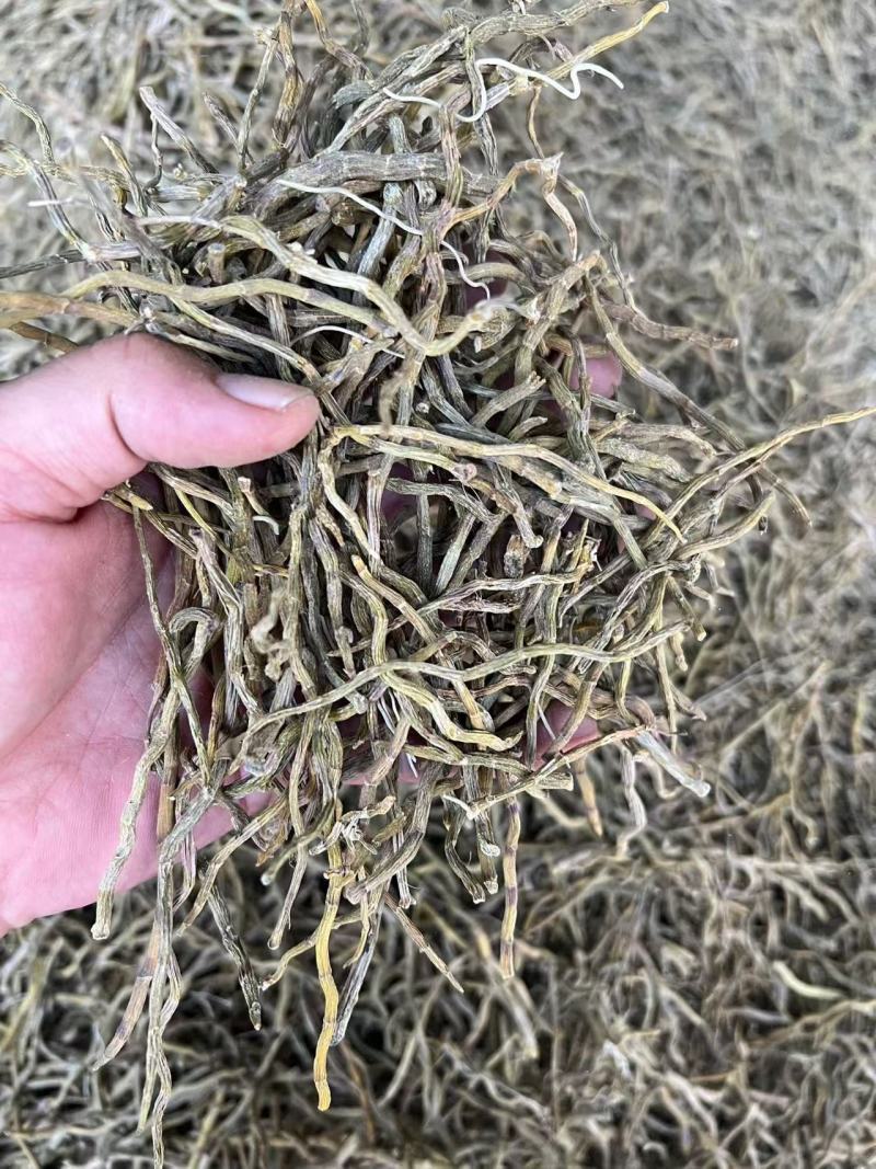 铁皮石斛霍山铁皮云南铁皮石斛枫斗石斛花茶粉中药材礼盒