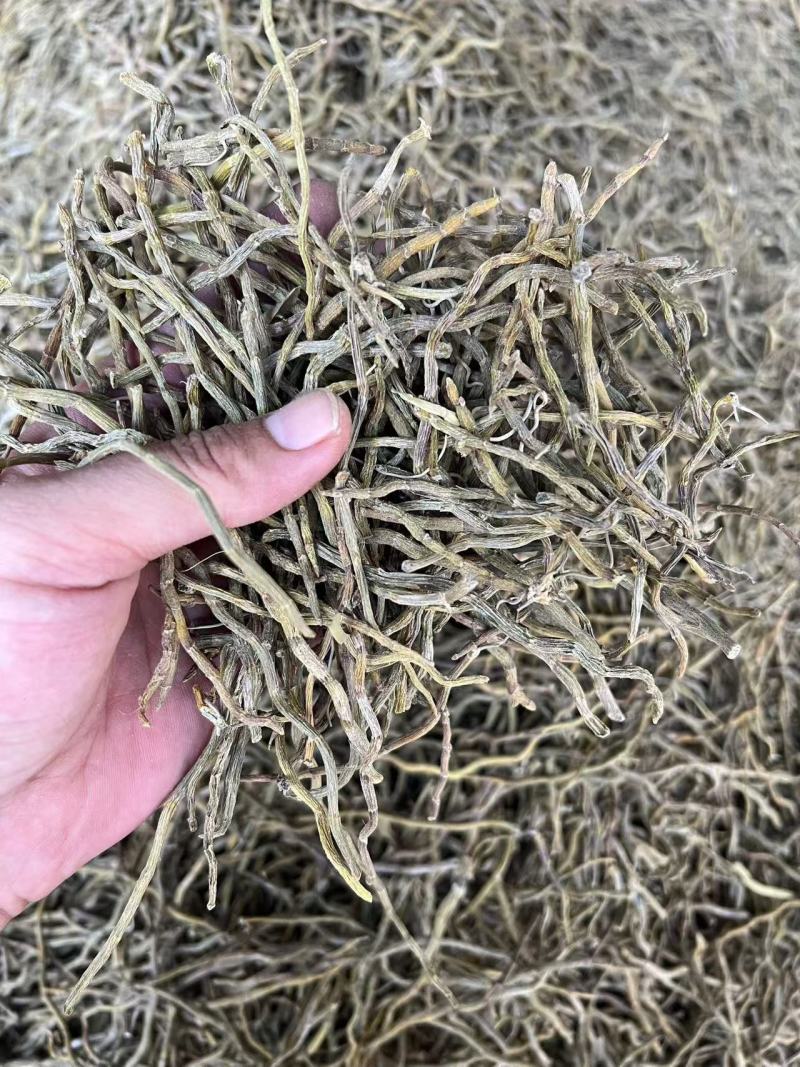 铁皮石斛霍山铁皮云南铁皮石斛枫斗石斛花茶粉中药材礼盒