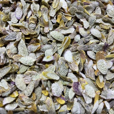 精选5年铁皮石斛切片石斛片干片石斛枫斗正品新鲜铁皮石斛片