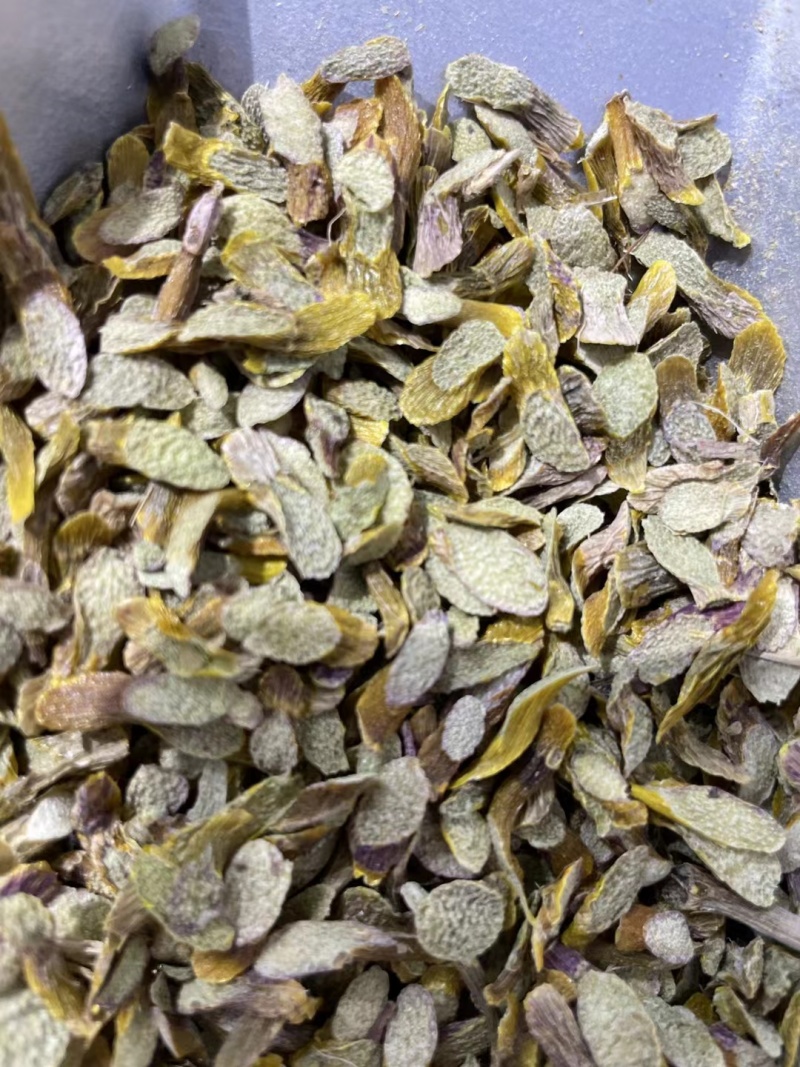 精选5年铁皮石斛切片石斛片干片石斛枫斗正品新鲜铁皮石斛片