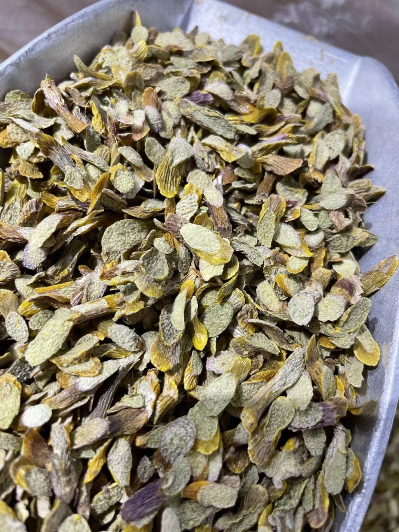 精选5年铁皮石斛切片石斛片干片石斛枫斗正品新鲜铁皮石斛片