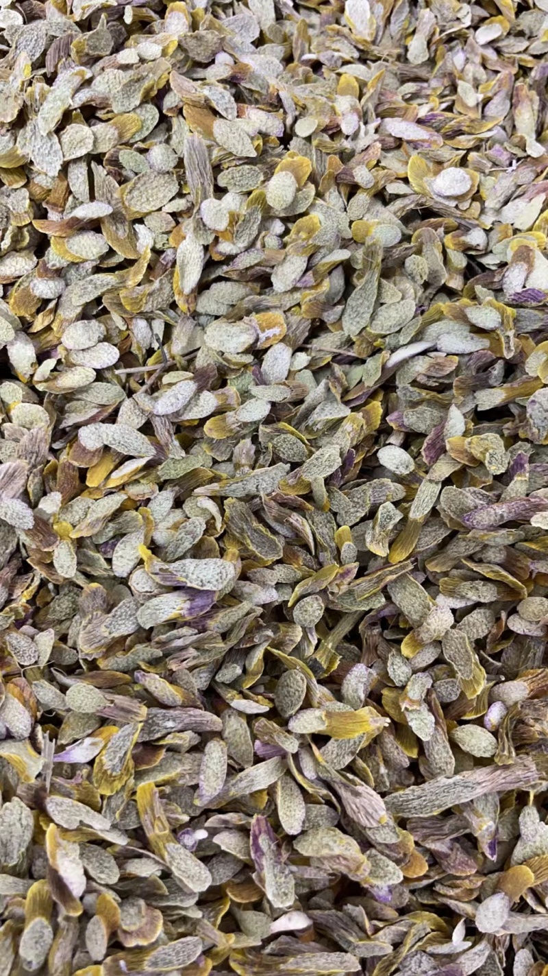 精选5年铁皮石斛切片石斛片干片石斛枫斗正品新鲜铁皮石斛片