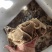 碎叶片毛肚大边角带底板牛百叶