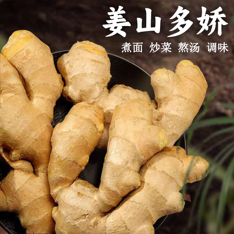 山东生姜/莒县生姜/大黄姜/自家种植/全年有货