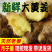 山东生姜/莒县生姜/大黄姜/自家种植/全年有货