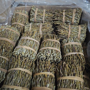 正宗铁皮石斛干条4年仿野生食用特级铁皮石斛花茶鲜条枫斗可