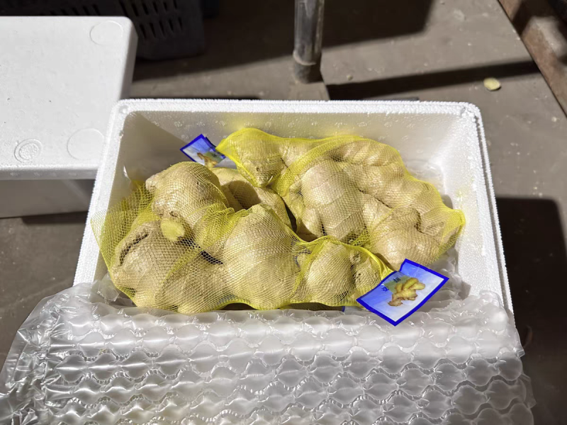 【山东生姜】小黄姜/莒县生姜/产地货源/量大价优/电联