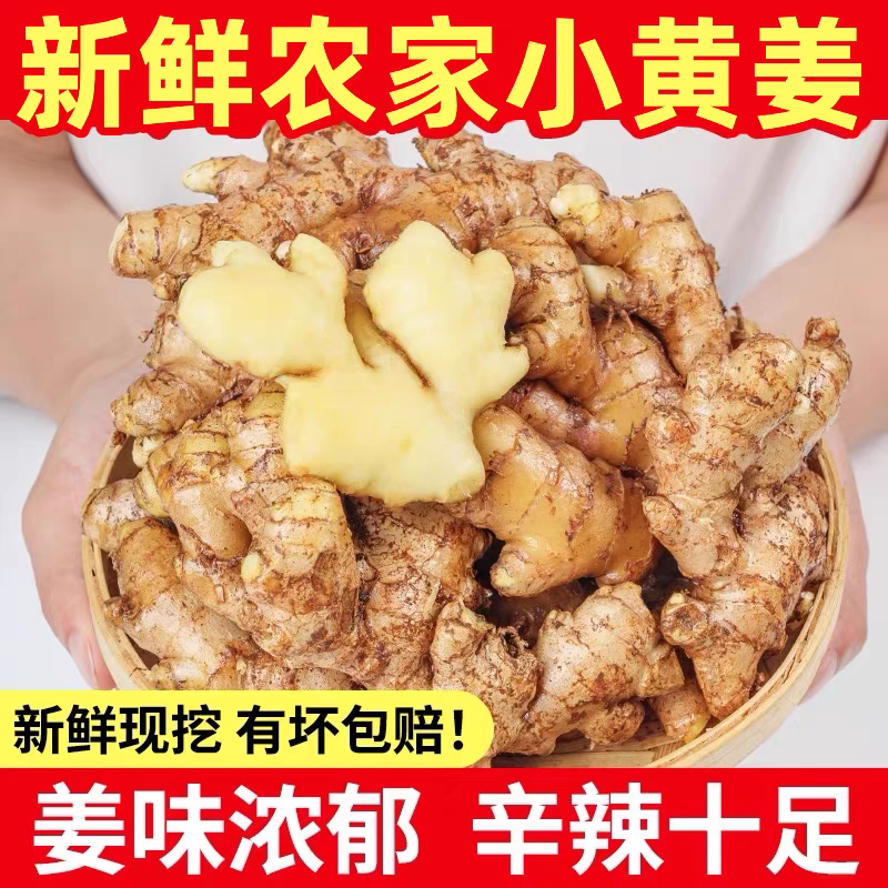 【山东生姜】小黄姜/莒县生姜/产地货源/量大价优/电联