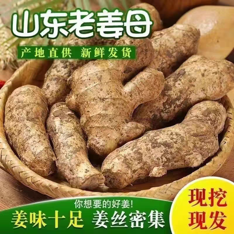 【山东生姜】小黄姜/莒县生姜/产地货源/量大价优/电联