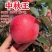 嫁接中秋王苹果树苗晚熟脆甜苹果苗南方北苹果树水果苗包邮