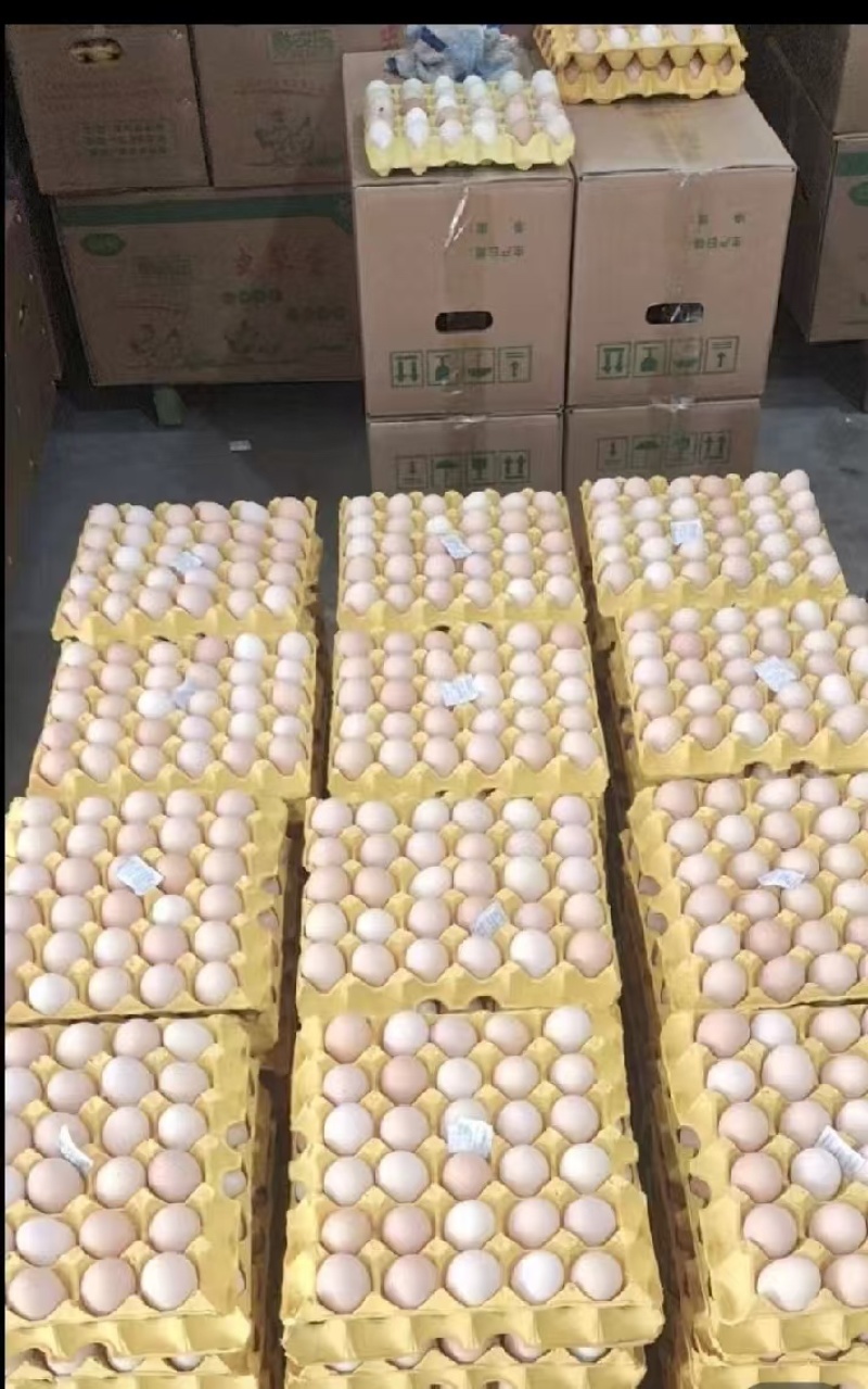 农产品鸡蛋🥚