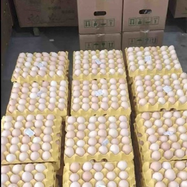 农产品鸡蛋🥚