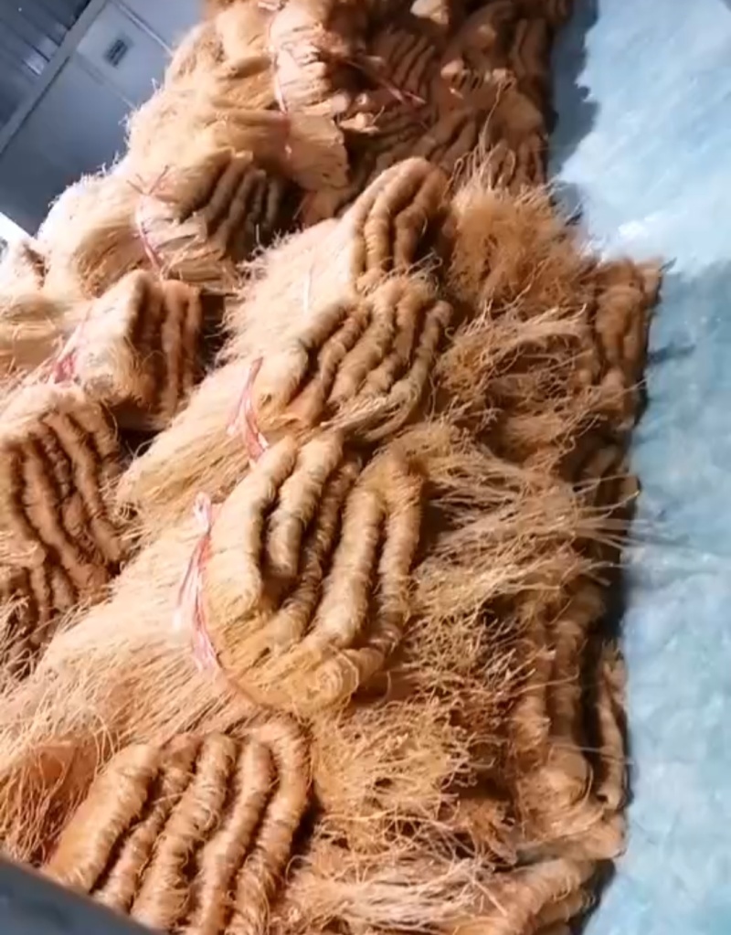 西瓜红粉丝