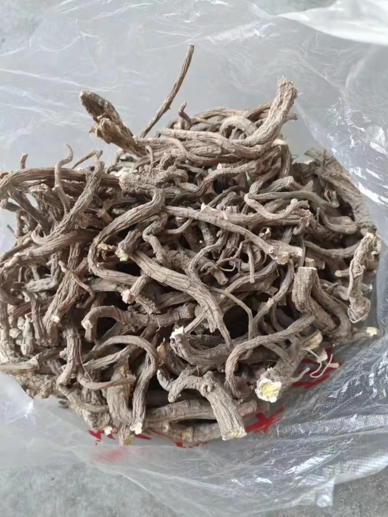 当归。干当归。甜当归干货。统货。个子。条子