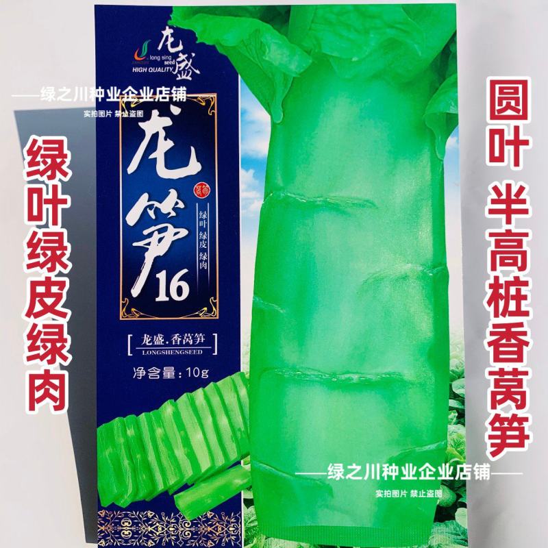 龙笋16号莴笋种子三青绿肉油亮香莴笋油亮莴笋莴苣种子