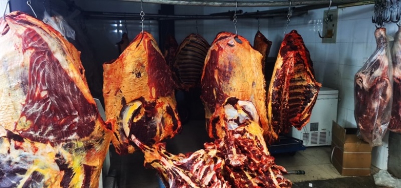 青海牦牛肉新鲜牛肉牛腩牛腱子正宗高原特色耗牛毛牛生鲜
