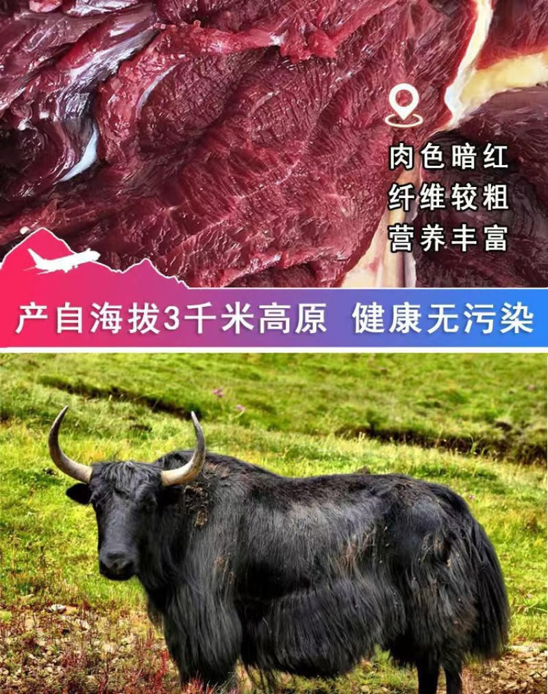 青海牦牛肉新鲜牛肉牛腩牛腱子正宗高原特色耗牛毛牛生鲜