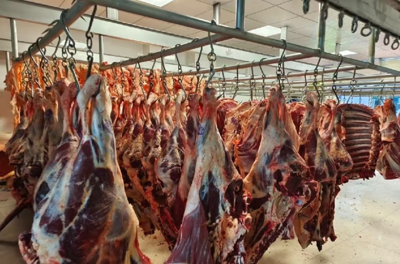 青海牦牛肉新鲜牛肉牛腩牛腱子正宗高原特色耗牛毛牛生鲜