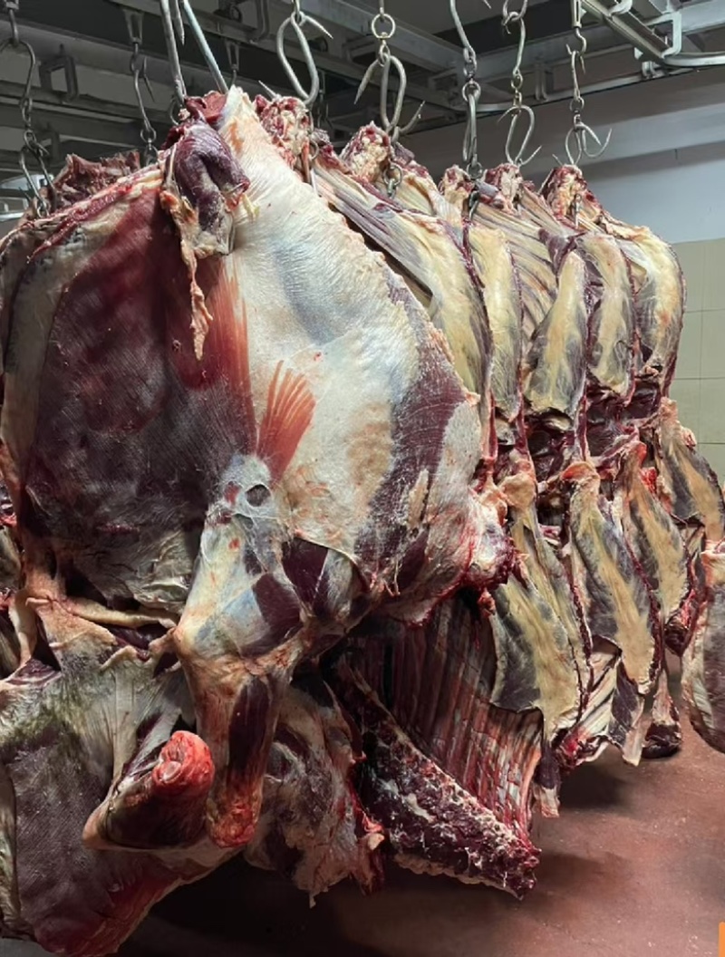 青海牦牛肉新鲜牛肉牛腩牛腱子正宗高原特色耗牛毛牛生鲜