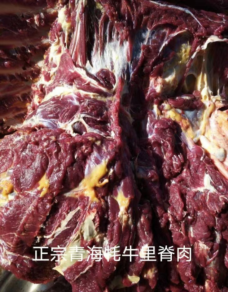 青海牦牛肉新鲜牛肉牛腩牛腱子正宗高原特色耗牛毛牛生鲜