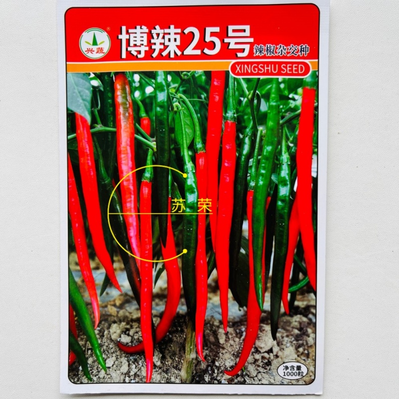 兴蔬博辣25号辣椒种子长线椒种籽味香辣条椒尖椒青红椒种