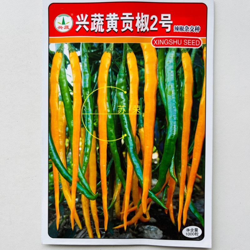 兴蔬黄贡椒2号辣椒种子中早熟黄皮辣椒种籽黄贡椒种孑黄线椒