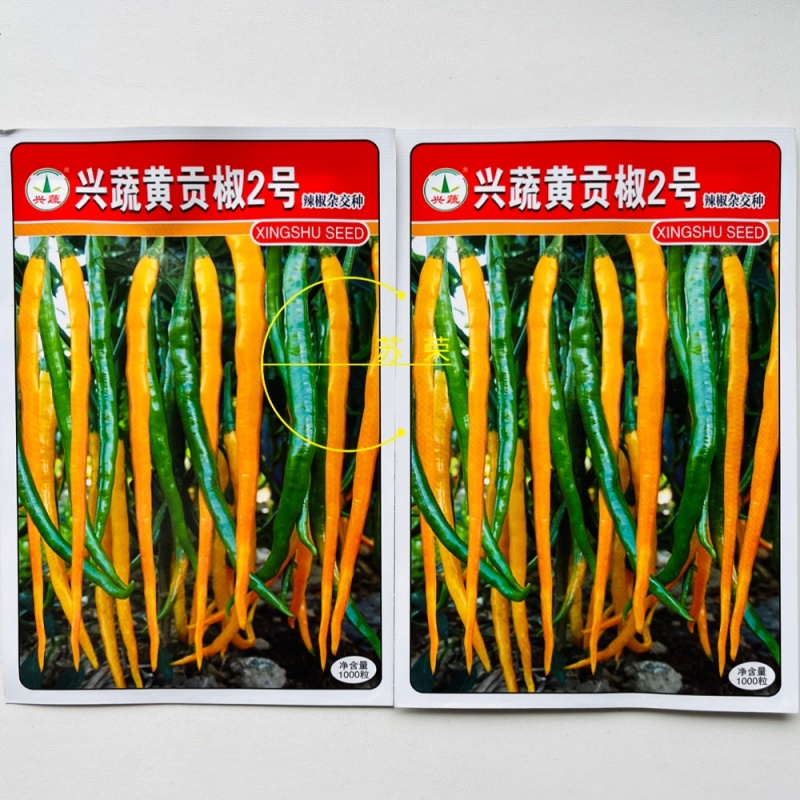 兴蔬黄贡椒2号辣椒种子中早熟黄皮辣椒种籽黄贡椒种孑黄线椒