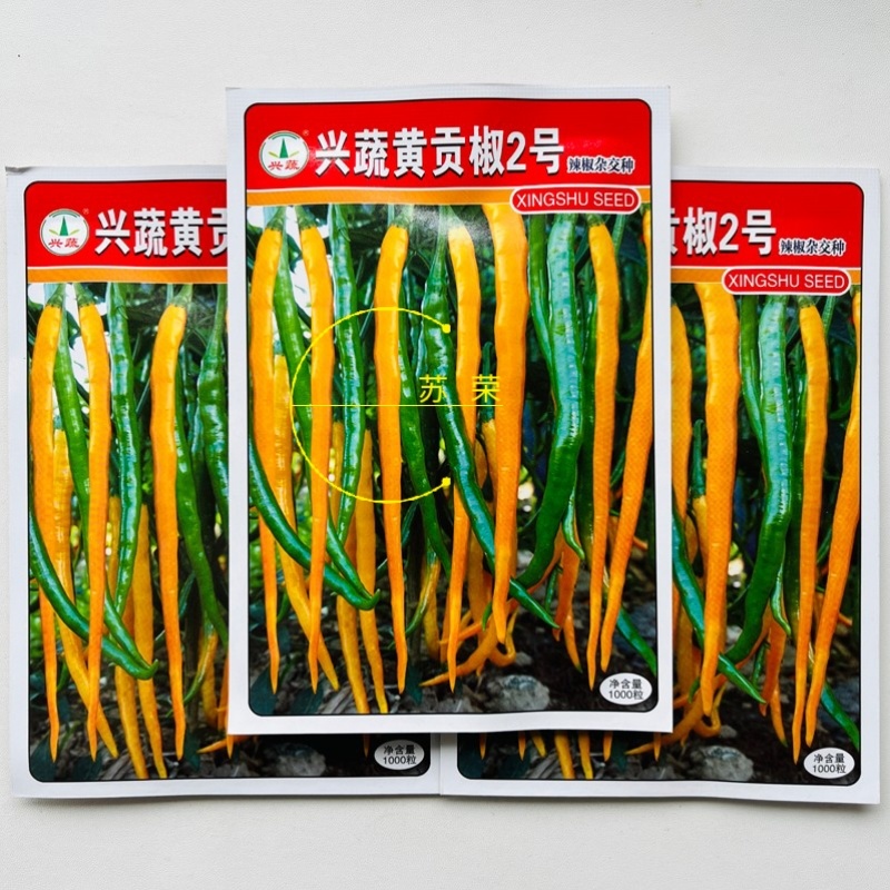 兴蔬黄贡椒2号辣椒种子中早熟黄皮辣椒种籽黄贡椒种孑黄线椒