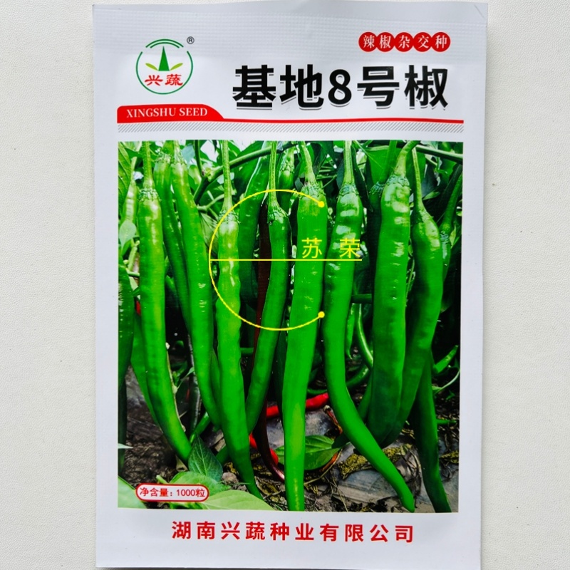 兴蔬基地8号椒辣椒种子薄皮辣味浓线椒种子高产线椒