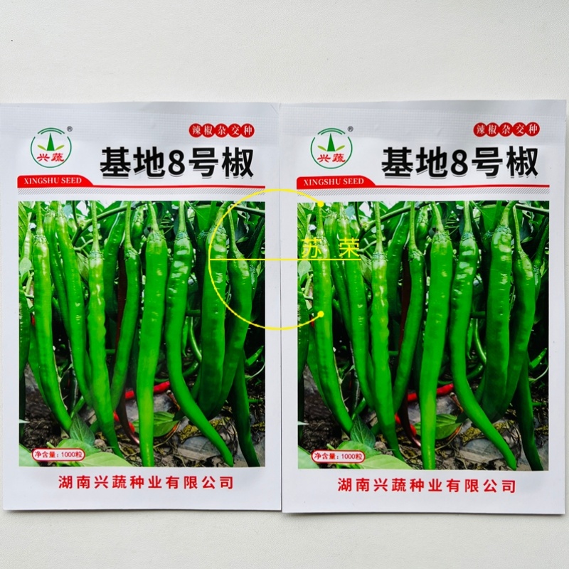 兴蔬基地8号椒辣椒种子薄皮辣味浓线椒种子高产线椒