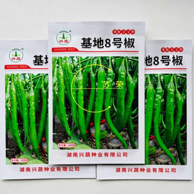 兴蔬基地8号椒辣椒种子薄皮辣味浓线椒种子高产线椒