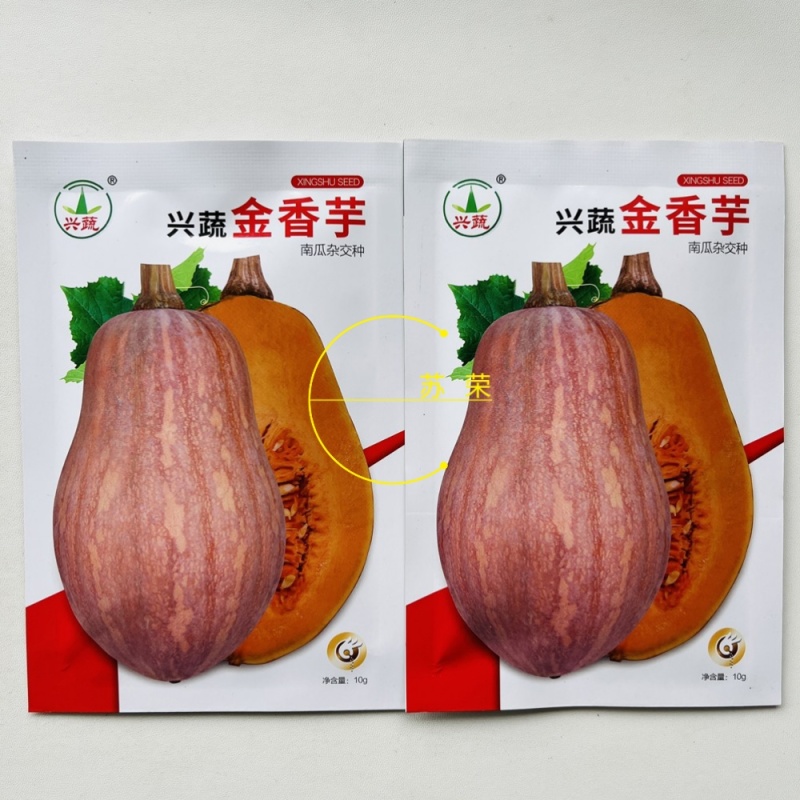 兴蔬金香芋南瓜种子果实橄榄形南瓜种籽新品种小果南瓜籽