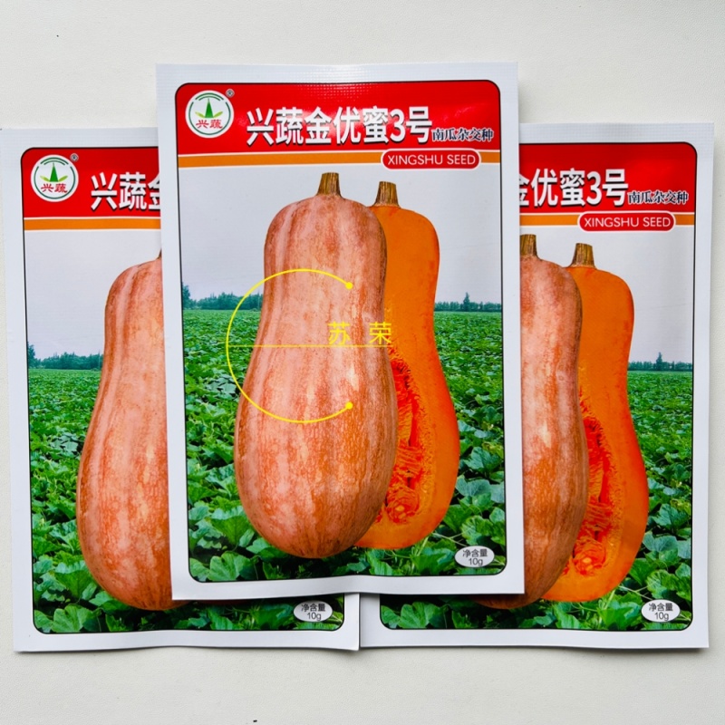 兴蔬金优蜜3号南瓜种子早栗蜜本南瓜种籽超甜粉面甜南瓜