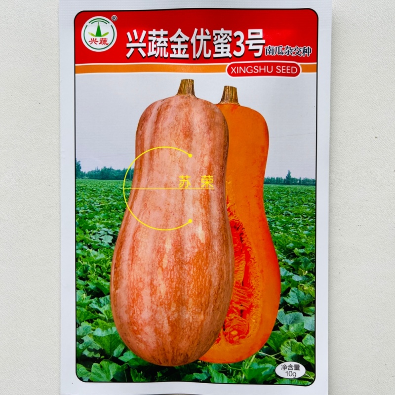兴蔬金优蜜3号南瓜种子早栗蜜本南瓜种籽超甜粉面甜南瓜