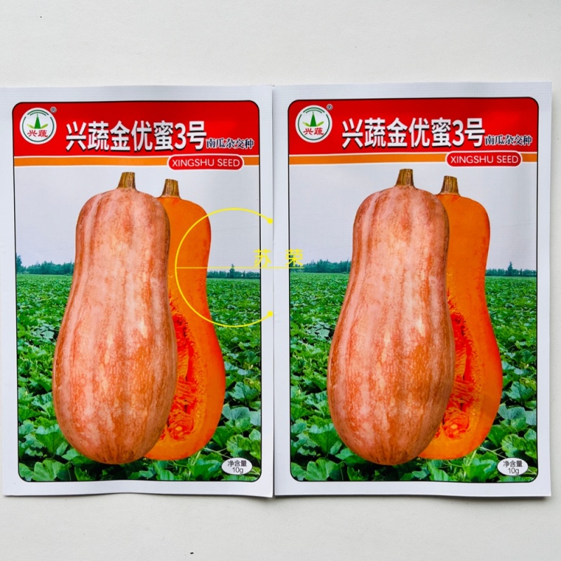 兴蔬金优蜜3号南瓜种子早栗蜜本南瓜种籽超甜粉面甜南瓜